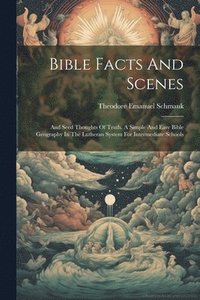 bokomslag Bible Facts And Scenes