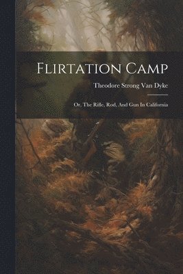 bokomslag Flirtation Camp