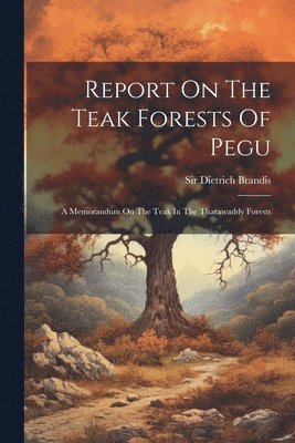 bokomslag Report On The Teak Forests Of Pegu