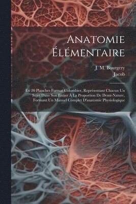 J M Bourgery, Jacob - Anatomie Élémentaire, Häftad