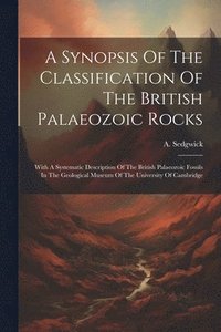 bokomslag A Synopsis Of The Classification Of The British Palaeozoic Rocks