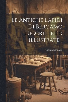 bokomslag Antiche Lapidi Di Bergamo Descritte Ed Illustrate...