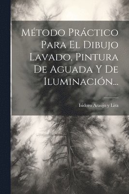 Método Práctico Para El Dibujo Lavado, Pintura De Aguada Y De Iluminación...
