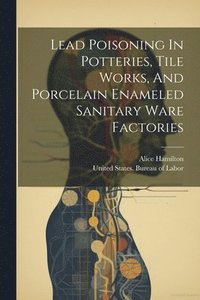 bokomslag Lead Poisoning In Potteries, Tile Works, And Porcelain Enameled Sanitary Ware Factories
