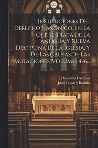 bokomslag Instituciones Del Derecho Cannico, En La Que Se Trata De La Antigua Y Nueva Disciplina De La Iglesia, Y De Las Causas De Las Mutaciones, Volumes 4-6...