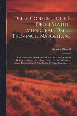 Delle Consuetudini E Degli Statuti Municipali Delle Provincie Napolitane 1
