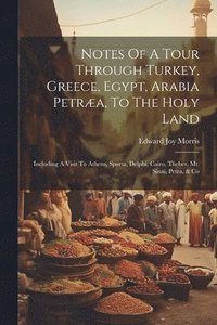 bokomslag Notes Of A Tour Through Turkey, Greece, Egypt, Arabia Petræa, To The Holy Land