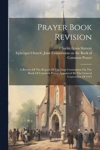 bokomslag Prayer Book Revision