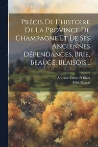bokomslag Prcis De L'histoire De La Province De Champagne Et De Ses Anciennes Dpendances, Brie, Beauce, Blaisois...