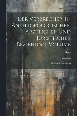 Der Verbrecher, In Anthropologischer, rztlicher Und Juristischer Beziehung, Volume 2... 1