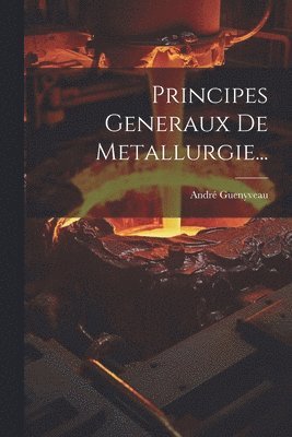 bokomslag Principes Generaux De Metallurgie...