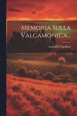 bokomslag Memoria Sulla Valcamonica...
