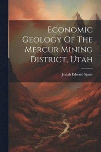 bokomslag Economic Geology Of The Mercur Mining District, Utah