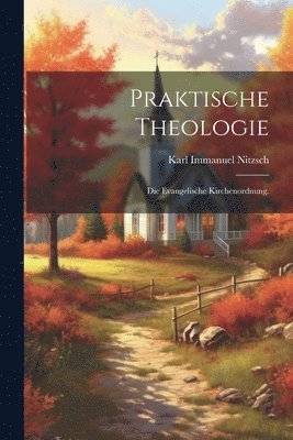 bokomslag Praktische Theologie