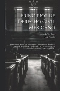 bokomslag Principios De Derecho Civil Mexicano