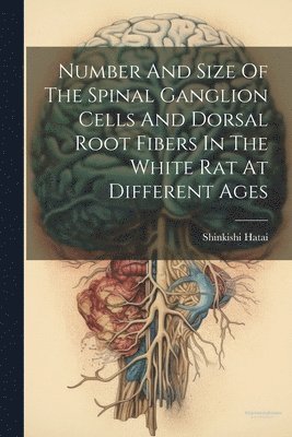 bokomslag Number And Size Of The Spinal Ganglion Cells And Dorsal Root Fibers In The White Rat At Different Ages