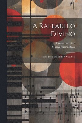 bokomslag A Raffaello Divino