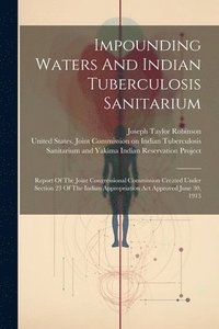bokomslag Impounding Waters And Indian Tuberculosis Sanitarium