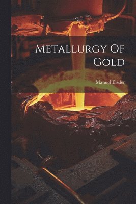 bokomslag Metallurgy Of Gold