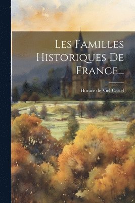 bokomslag Les Familles Historiques De France...