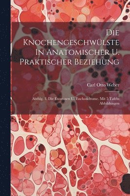 bokomslag Die Knochengeschwlste In Anatomischer U. Praktischer Beziehung