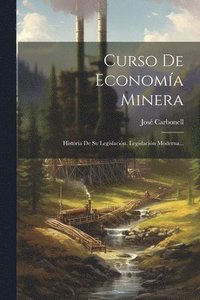 bokomslag Curso De Economía Minera
