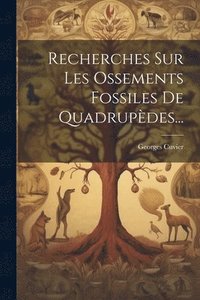 bokomslag Recherches Sur Les Ossements Fossiles De Quadrupdes...