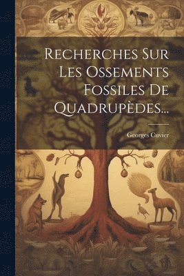 Recherches Sur Les Ossements Fossiles De Quadrupdes... 1