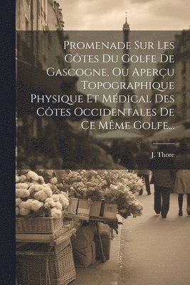 bokomslag Promenade Sur Les Côtes Du Golfe De Gascogne, Ou Aperçu Topographique Physique Et Médical Des Côtes Occidentales De Ce Même Golfe...