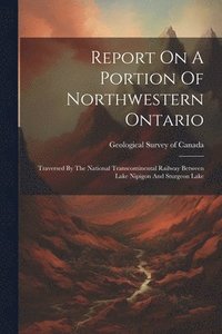 bokomslag Report On A Portion Of Northwestern Ontario