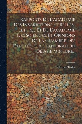 bokomslag Rapports De L'acadmie Des Inscriptions Et Belles-lettres Et De L'academie Des Sciences, Et Opinions De La Chambre Des Dputs, Sur L'exploration De Asie Mineure...