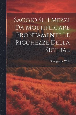 bokomslag Saggio Su I Mezzi Da Moltiplicare Prontamente Le Ricchezze Della Sicilia...