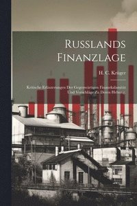 bokomslag Russlands Finanzlage