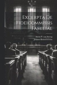 bokomslag Excerpta De Fideicommissis Familiae