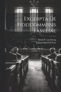 bokomslag Excerpta De Fideicommissis Familiae