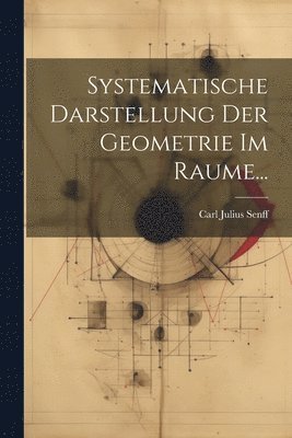 bokomslag Systematische Darstellung Der Geometrie Im Raume...