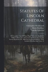 bokomslag Statutes Of Lincoln Cathedral