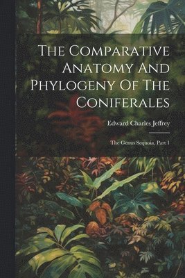 bokomslag Comparative Anatomy And Phylogeny Of The Coniferales