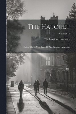 bokomslag Hatchet