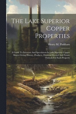 bokomslag The Lake Superior Copper Properties