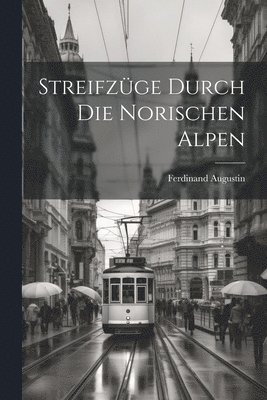 bokomslag Streifzüge durch die norischen Alpen