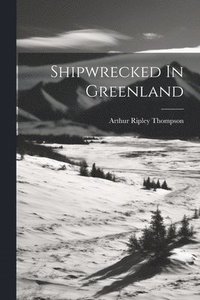 bokomslag Shipwrecked In Greenland