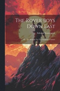 bokomslag Rover Boys Down East