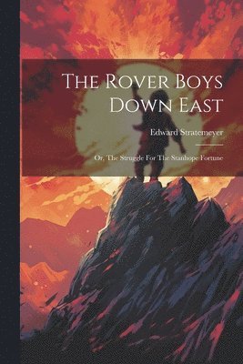 bokomslag Rover Boys Down East