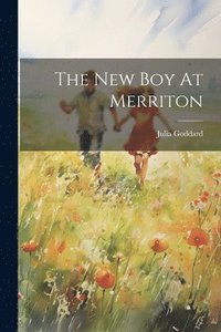 bokomslag The New Boy At Merriton