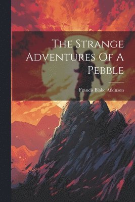 bokomslag The Strange Adventures Of A Pebble