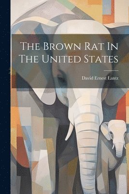 bokomslag Brown Rat In The United States