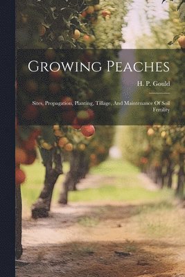 Growing Peaches 1