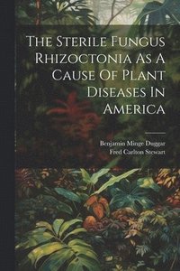 bokomslag The Sterile Fungus Rhizoctonia As A Cause Of Plant Diseases In America