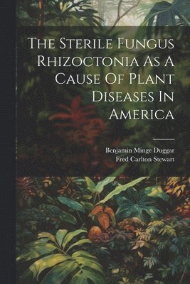 Sterile Fungus Rhizoctonia As A Cause Of Plant Diseases In America